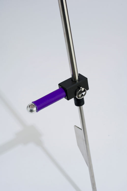 Purple foot peg on stainless steel sand spike